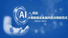 2025年AI+風(fēng)控-大模型驅(qū)動金融風(fēng)險(xiǎn)決策新范式報(bào)告