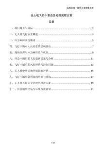 無(wú)人機(jī)飛行中斷應(yīng)急處理流程方案