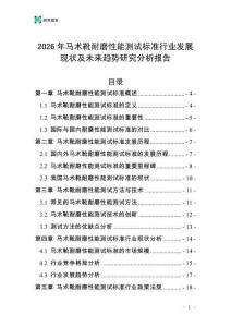 2026年馬術(shù)靴耐磨性能測(cè)試標(biāo)準(zhǔn)行業(yè)發(fā)展現(xiàn)狀及未來趨勢(shì)研究分析報(bào)告