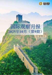 國際觀察月報(bào)2025年10月（第9期）-13頁