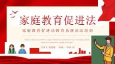 家庭教育促進(jìn)法教育系統(tǒng)法治培訓(xùn)PPT (2)