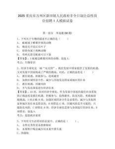 2025重慶市萬州區(qū)新田鎮(zhèn)人民政府非全日制公益性崗位招聘1人模擬試卷及一套參考答案詳解
