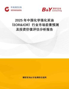 2025年中國(guó)化學(xué)強(qiáng)化采油（EOR&IOR）行業(yè)市場(chǎng)前景預(yù)測(cè)及投資價(jià)值評(píng)估分析報(bào)告