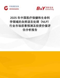 2025年中國醫(yī)療保健和生命科學領域的自然語言處理（NLP）行業(yè)市場前景預測及投資價值評估分析報告