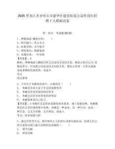2025黑龍江齊齊哈爾市建華區(qū)建設(shè)街道公益性崗位招聘1人模擬試卷及1套參考答案詳解