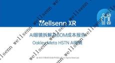 wellsenn+AI眼鏡拆解及BOM成本報告：Oakley+Meta+HSTN+AI眼鏡+-+免費版