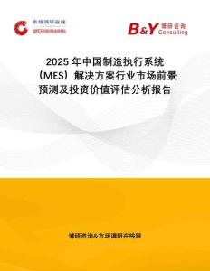2025年中國制造執(zhí)行系統(tǒng)(MES)解決方案行業(yè)市場前景預(yù)測及投資價(jià)值評估分析報(bào)告
