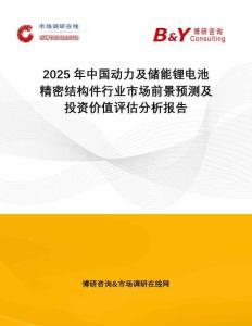 2025年中國動力及儲能鋰電池精密結構件行業(yè)市場前景預測及投資價值評估分析報告