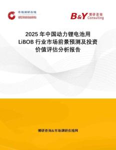 2025年中國動(dòng)力鋰電池用LiBOB行業(yè)市場前景預(yù)測及投資價(jià)值評(píng)估分析報(bào)告