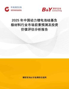 2025年中國動力鋰電池硅基負極材料行業(yè)市場前景預測及投資價值評估分析報告