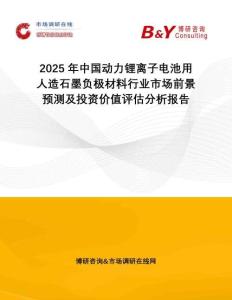 2025年中國動力鋰離子電池用人造石墨負極材料行業(yè)市場前景預測及投資價值評估分析報告