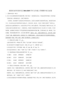 湖南省永州市新田縣2025屆九年級(jí)上學(xué)期11月期中考試語文試卷（含答案）