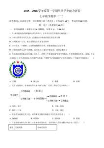 甘肅省隴南市康縣2025-2026學(xué)年七年級(jí)上學(xué)期期中生物學(xué)試題（含答案）