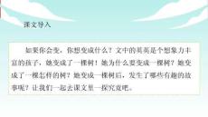 17我變成了一棵樹