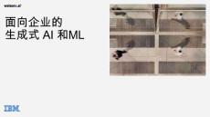 IBM -面向企業(yè)的生成式 AI 和 ML