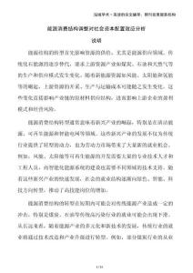 能源消費結(jié)構(gòu)調(diào)整對社會資本配置效應(yīng)分析