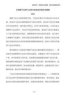 生物質(zhì)氣化制氣過程中能源效率提升的策略