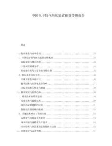 中國電子特氣純化裝置能效等級報告