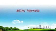 2025年虛擬電廠與數(shù)字能源報(bào)告-