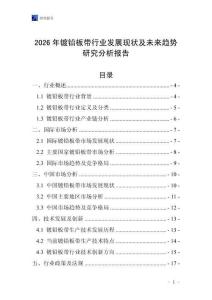 2026年鍍鉛板帶行業(yè)發(fā)展現(xiàn)狀及未來趨勢研究分析報(bào)告