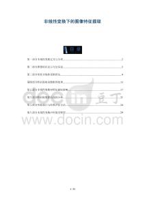 非線性變換下的圖像特征提取-洞察與解讀