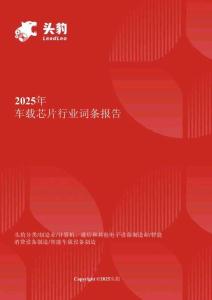 2025年車載芯片行業(yè)詞條報告