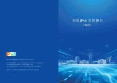 中國(guó) IPv6 發(fā)展報(bào)告（2025）