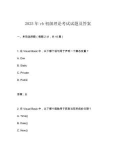 2025年vb初級理論考試試題及答案