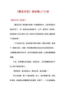 《夏至未至》讀后感份