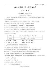 高三化學(xué)人教版（2019）期中測(cè)試A卷——A4版式