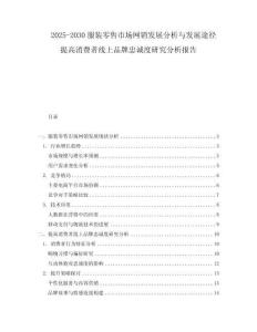 2025-2030服裝零售市場(chǎng)網(wǎng)銷發(fā)展分析與發(fā)展途徑提高消費(fèi)者線上品牌忠誠(chéng)度研究分析報(bào)告