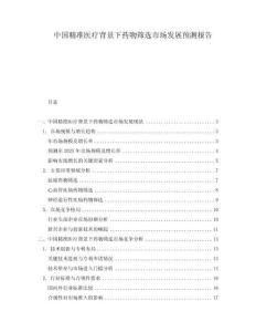 中國(guó)精準(zhǔn)醫(yī)療背景下藥物篩選市場(chǎng)發(fā)展預(yù)測(cè)報(bào)告