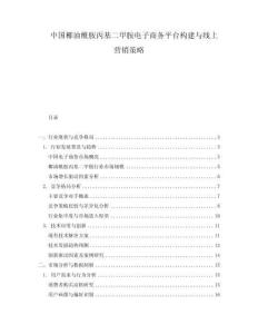 中國椰油酰胺丙基二甲胺電子商務(wù)平臺構(gòu)建與線上營銷策略