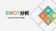 企業(yè)SWOT分析戰(zhàn)略與資源結合分析模板PPT (2)