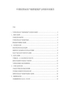 中國(guó)醫(yī)藥知識(shí)產(chǎn)權(quán)跨境保護(hù)與糾紛應(yīng)對(duì)報(bào)告