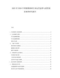 2025至2030中國(guó)攝像器材行業(yè)運(yùn)營(yíng)態(tài)勢(shì)與投資前景調(diào)查研究報(bào)告