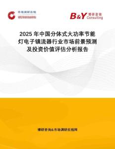 2025年中國分體式大功率節(jié)能燈電子鎮(zhèn)流器行業(yè)市場前景預(yù)測及投資價(jià)值評(píng)估分析報(bào)告