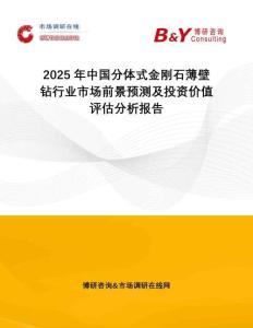 2025年中國分體式金剛石薄壁鉆行業(yè)市場前景預(yù)測及投資價(jià)值評估分析報(bào)告
