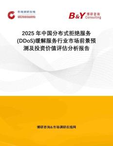 2025年中國分布式拒絕服務(wù)(DDoS)緩解服務(wù)行業(yè)市場前景預(yù)測及投資價值評估分析報告