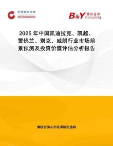 2025年中國凱迪拉克、凱越、雪佛蘭、別克、威朗行業(yè)市場前景預(yù)測及投資價(jià)值評(píng)估分析報(bào)告