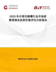 2025年中國切割嘴行業(yè)市場前景預(yù)測及投資價值評估分析報告