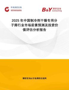 2025年中國制冷劑干燥專用分子篩行業(yè)市場前景預(yù)測及投資價(jià)值評估分析報(bào)告