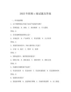 2025年職稱c級試題及答案