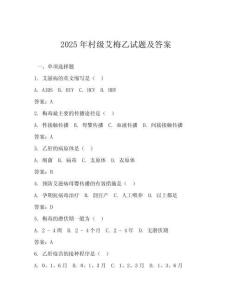 2025年村級(jí)艾梅乙試題及答案