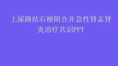 上尿路结石梗阻合并急性肾盂肾炎治疗共识PPT