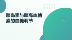 胰島素與胰高血糖素的血糖調節(jié)