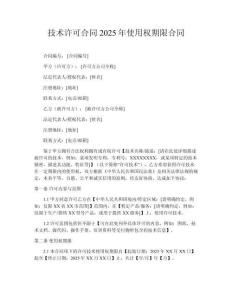 技術(shù)許可合同2025年使用權(quán)期限合同