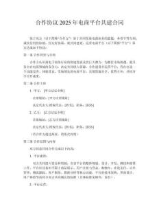 合作協(xié)議2025年電商平臺(tái)共建合同