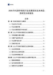 2026年毛条针梳机行业发展现状及未来趋势研究分析报告