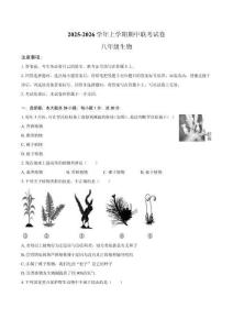 2025-2026学年第六河南省鲁山县教研区八年级上学期期中联考生物试卷（含答案）